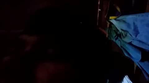 arvy95198 online show from 10/12/25, 11:15