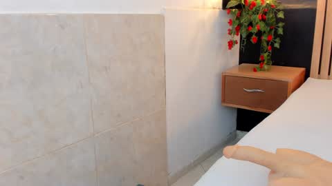 Snapshot of arya_nahalii chatting on 12/29/24, 08:04 Ana online show from 12/29/24, 08:04