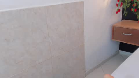 Snapshot of arya_nahalii chatting on 01/24/25, 03:45 Ana online show from 01/24/25, 03:45