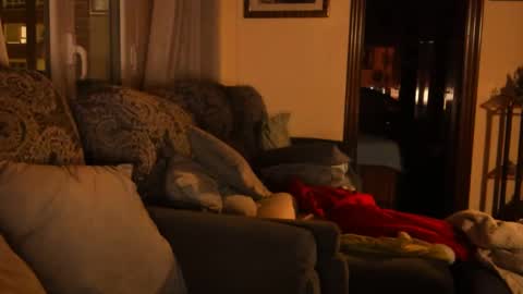 Snapshot of ascbi chatting on 01/15/25, 06:08 Troy online show from 01/15/25, 06:08