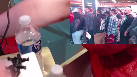 Snapshot of ashbashgirl chatting on 01/19/26, 04:05 SweetAshCheeks online show from 01/19/26, 04:05