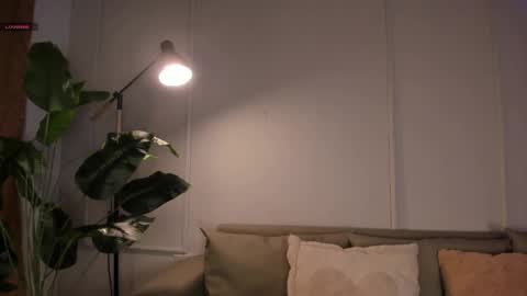   online show from 06/06/26, 12:10