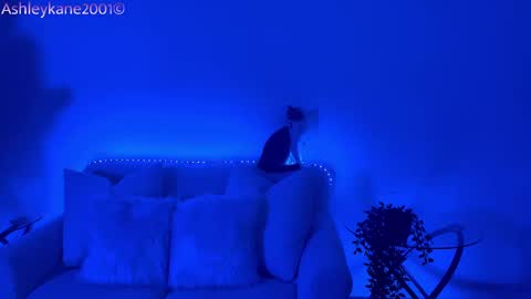 Ashley online show from 01/20/25, 04:54