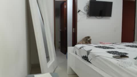 AshlyMoon online show from 02/15/25, 09:37