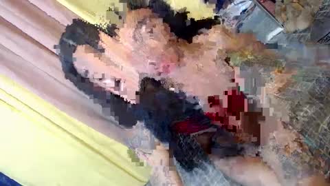 don online show from 01/30/25, 02:58