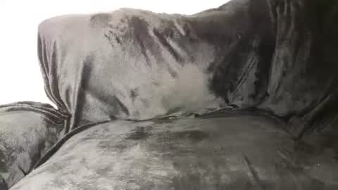 Snapshot of assiology11 chatting on 03/12/25, 05:38 Assiology online show from 03/12/25, 05:38