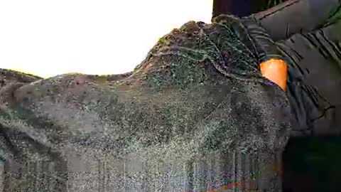 Assiology online show from 03/12/25, 08:41