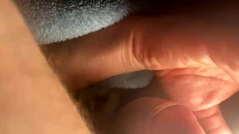 Snapshot of asterwix chatting on 09/21/25, 01:46 asterwix online show from 09/21/25, 01:46