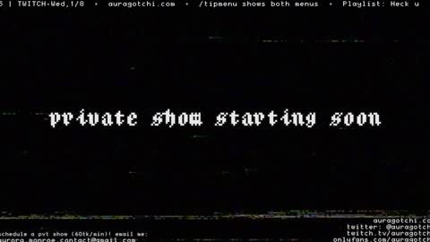 Snapshot of auragotchi chatting on 01/04/25, 11:06 Aurora  Aura online show from 01/04/25, 11:06