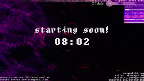 Snapshot of auragotchi chatting on 02/17/25, 04:20 Aurora  Aura online show from 02/17/25, 04:20