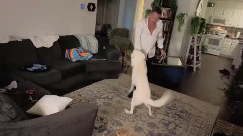 Aurora and Orion online show from 10/16/25, 11:28