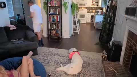 Aurora and Orion online show from 11/03/25, 10:10