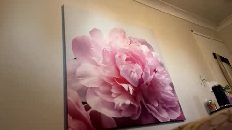 Snapshot of aussielovingxxx chatting on 02/06/26, 08:18 Milf4u online show from 02/06/26, 08:18