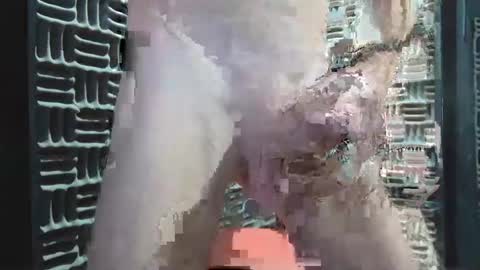 Snapshot of aussieraz chatting on 12/16/24, 08:20 aussieraz online show from 12/16/24, 08:20