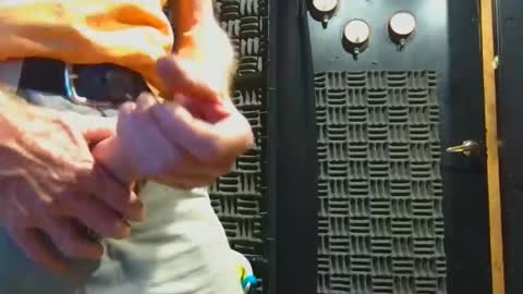 Snapshot of aussieraz chatting on 11/04/25, 08:02 aussieraz online show from 11/04/25, 08:02