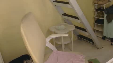 Snapshot of averageuncut1 chatting on 02/22/26, 03:07 Rhian online show from 02/22/26, 03:07