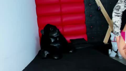 Snapshot of avi_thomsonn chatting on 03/13/26, 03:13 avi_thomsonn online show from 03/13/26, 03:13