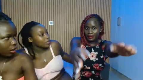 Avian online show from 11/12/25, 04:07