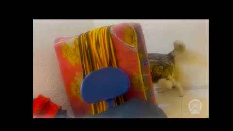 Snapshot of axelpadilla98 chatting on 02/04/26, 05:02 deliciosodemente online show from 02/04/26, 05:02