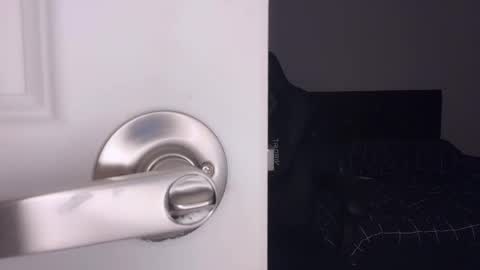 Snapshot of ayacolada chatting on 03/07/26, 08:00 Aya online show from 03/07/26, 08:00