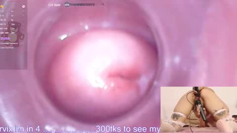 Snapshot of ayumi_tanaka chatting on 12/19/24, 01:39 online show from 12/19/24, 01:39