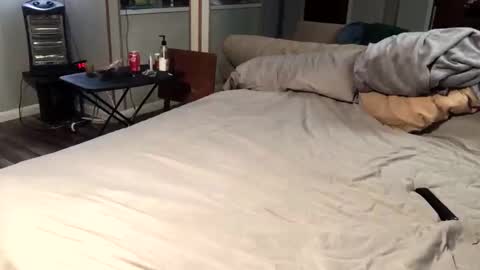 Snapshot of b00tyh0l3l0vin69 chatting on 02/11/26, 03:11 Htwnswangngape online show from 02/11/26, 03:11