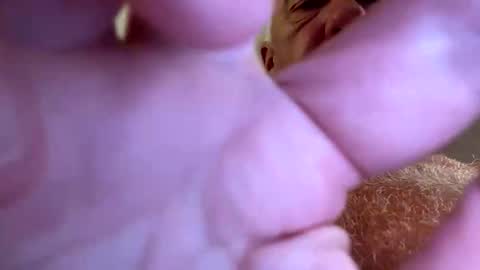 Snapshot of b_benito chatting on 09/28/25, 07:52 benito online show from 09/28/25, 07:52