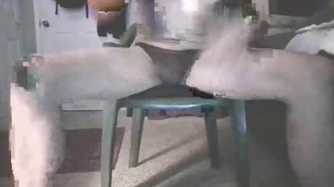 Snapshot of b_johnson420 chatting on 11/16/25, 08:42 bjohnson420 online show from 11/16/25, 08:42