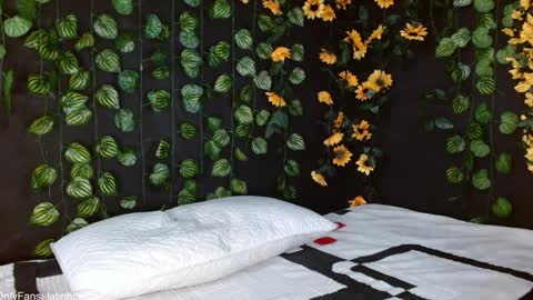 OF GxoXabs online show from 01/17/25, 03:11