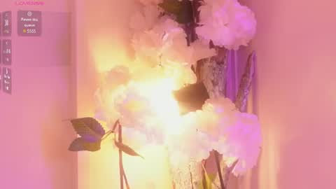 Baby june online show from 06/14/26, 03:52