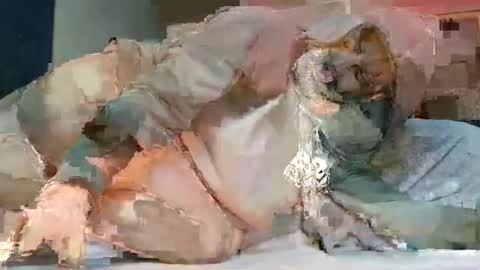 Poindexxxter online show from 02/20/25, 07:08