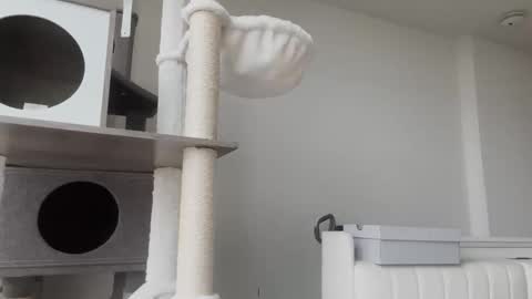 Snapshot of babydaddiii808 chatting on 01/08/26, 11:01 DADDY online show from 01/08/26, 11:01