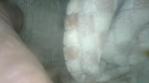 babyxxxangel online show from 12/19/24, 05:40