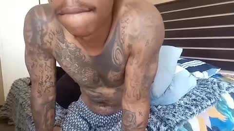 Snapshot of bad_dawgg chatting on 12/02/24, 08:52 rastafaria online show from 12/02/24, 08:52