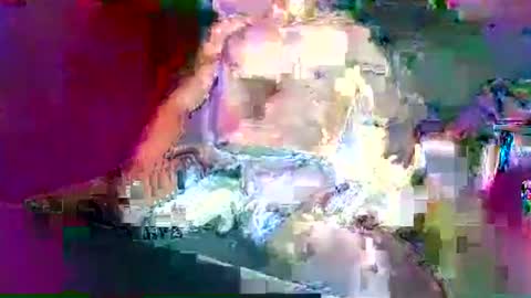 Mexican livin Off the Wall online show from 01/29/25, 07:04