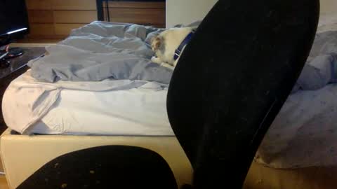 bahn92 online show from 03/11/26, 06:30