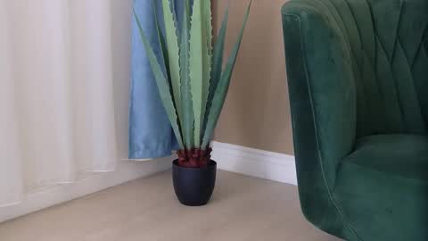 bailey_rush online show from 12/03/25, 04:49