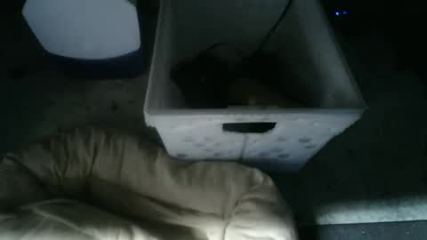 boton online show from 11/10/25, 09:19