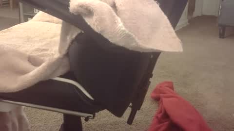 Snapshot of bam10inch chatting on 03/18/26, 12:47 b online show from 03/18/26, 12:47