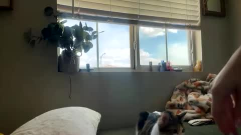Bambi online show from 05/05/26, 10:07