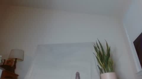 Snapshot of bambirachel1 chatting on 07/03/26, 12:17 bambirachel1 online show from 07/03/26, 12:17