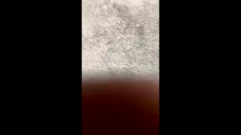 Snapshot of barbara_mur chatting on 03/10/26, 03:28 BarbaraDavid online show from 03/10/26, 03:28