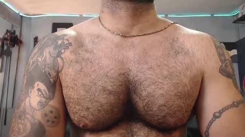 bardock online show from 02/01/25, 09:51