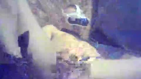 bartbartek online show from 05/16/26, 05:34