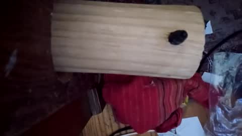 bartender3127 online show from 12/06/24, 03:33