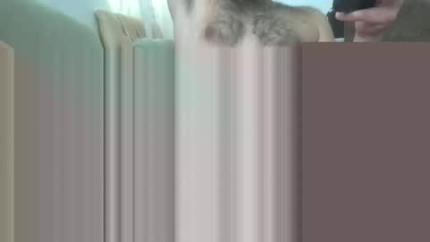 Snapshot of bathoneacock chatting on 03/02/25, 08:16 bathoneacock online show from 03/02/25, 08:16