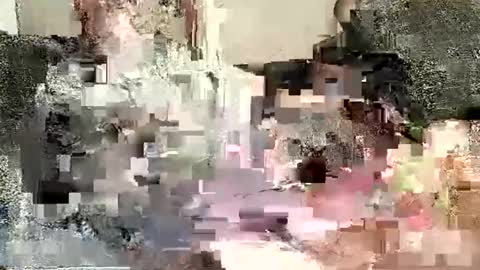 Snapshot of batman3991 chatting on 01/02/25, 12:02 Batman online show from 01/02/25, 12:02