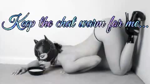 Snapshot of batmansfavoritewife chatting on 07/01/26, 04:58 Your always sexy Harley online show from 07/01/26, 04:58