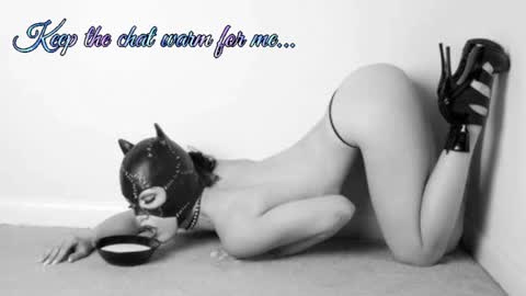 Snapshot of batmansfavoritewife chatting on 07/11/26, 02:36 Your always sexy Harley online show from 07/11/26, 02:36