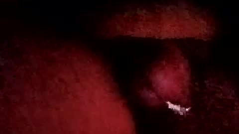 Snapshot of bcfalcon69 chatting on 01/19/26, 06:06 bcfalcon69 online show from 01/19/26, 06:06